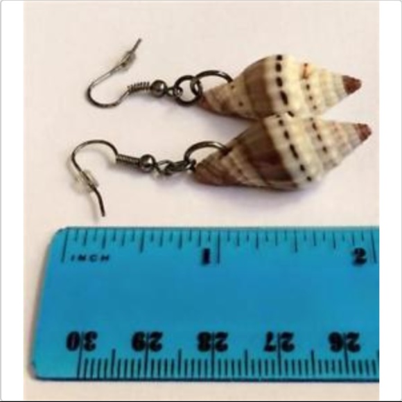 Conch Sea Life Shell Earrings Cerith Pierced Brown White Island Beach Natural - Picture 8 of 11